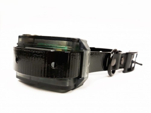 SSCCOLLAR