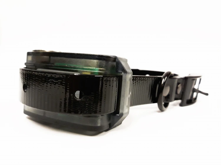 SSCCOLLAR
