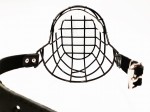 0104jvm - Cane Corso pies widok środka