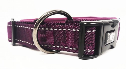 Casuaal obroża PADDED 40-50cm widok