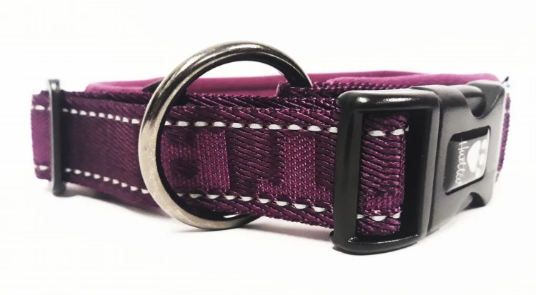 Casuaal obroża PADDED 40-50cm widok