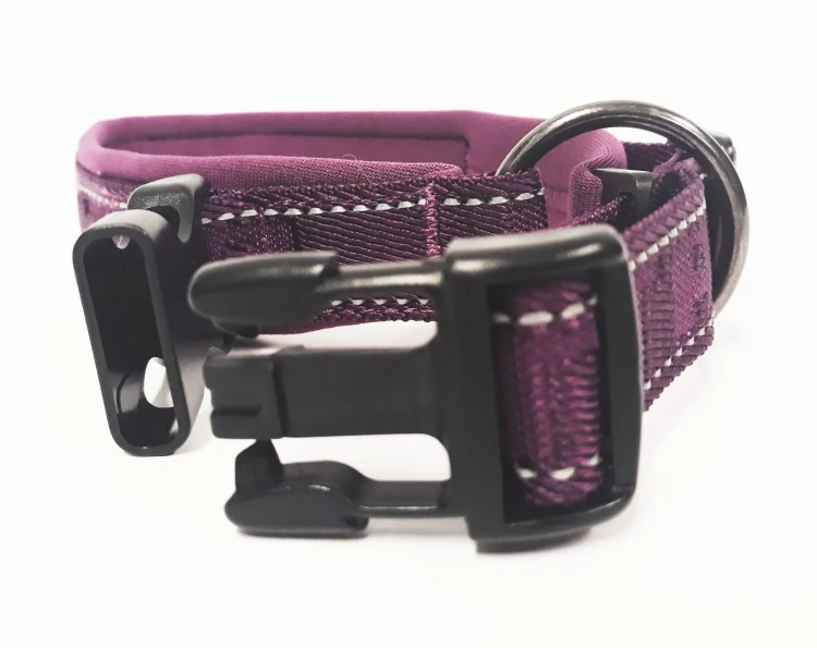 Casuaal obroża PADDED 40-50cm widok1