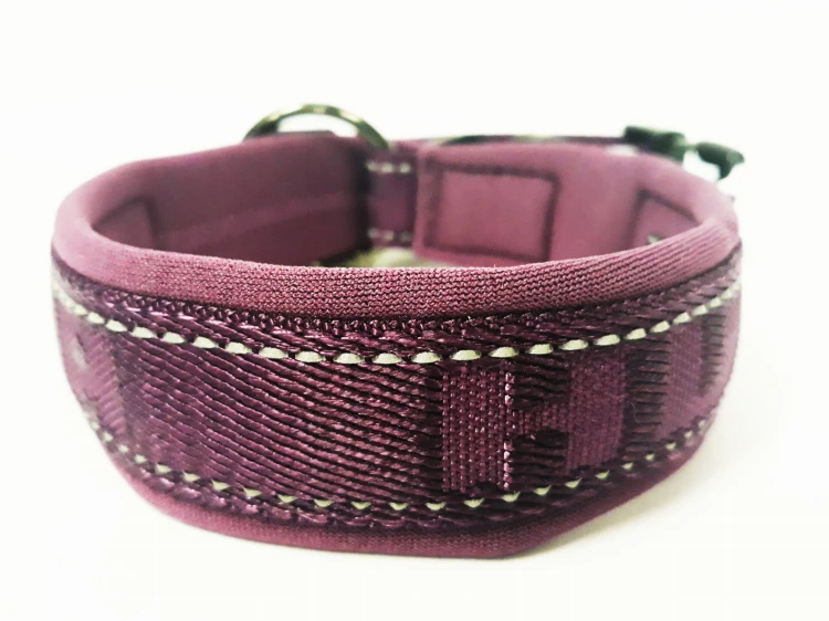 Casuaal obroża PADDED 40-50cm widok3