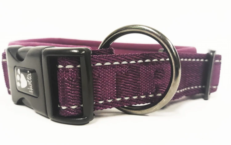 Casuaal obroża PADDED 40-50cm widok4