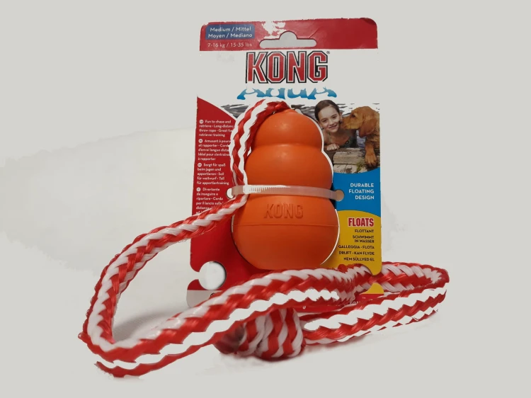 KONGCK2E - Zabawka Kong Aqua, M