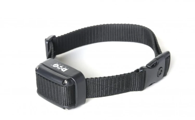 Dtdc1000 - Elektroniczna obroża d-c 1000 dla 1-psa obroża