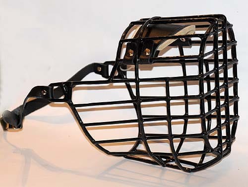 ch-560 - Kaganiec Sarplaninac przód