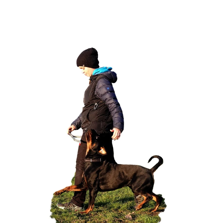 IQDEGEZST0010 - IQ Pozycjoner widok